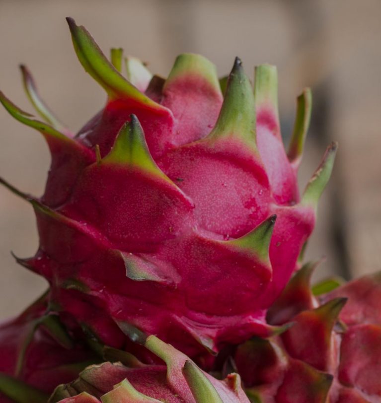 ¿Qué es la pitahaya?